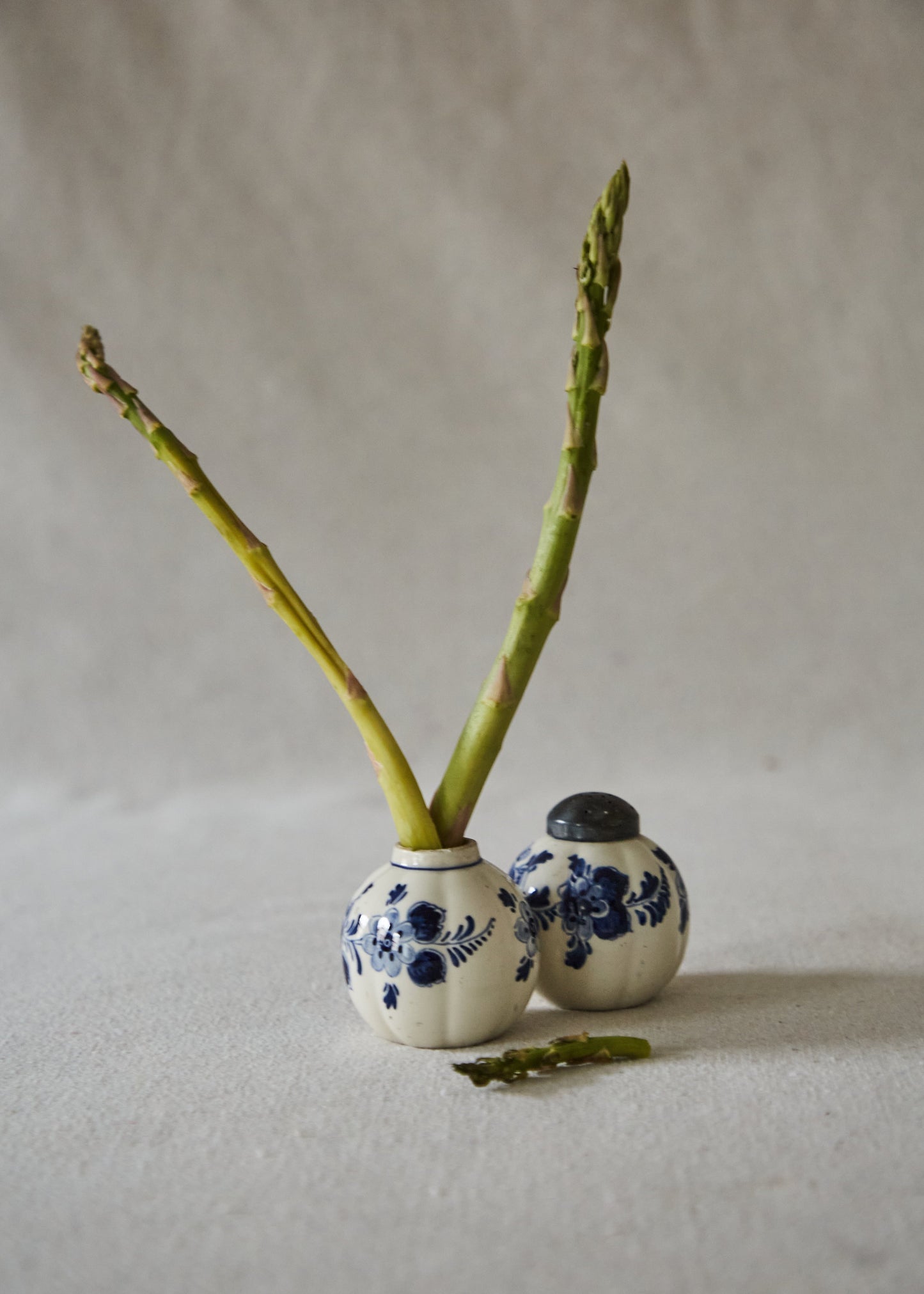 Delft Blue & White Salt and Pepper Shakers